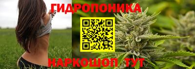 прущий лед Ачхой-Мартан