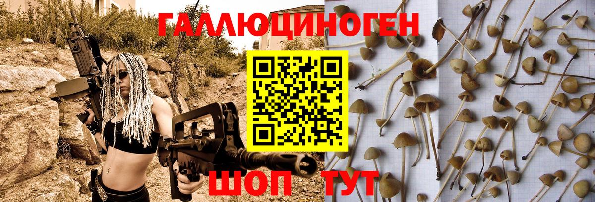 Галлюциногенные грибы Psilocybine cubensis Воскресенск